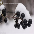 Wild Organic Black Goji Berries